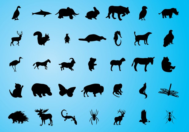 Animal Silhouette Vectors