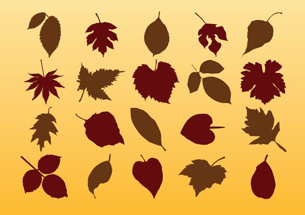 Autumn Leaves by Stock Graphic Designs