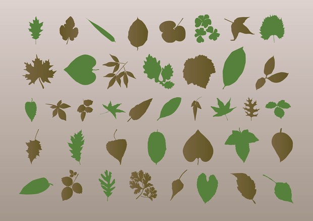 Autumn Leaves Silhouettes by Stock Graphic Designs