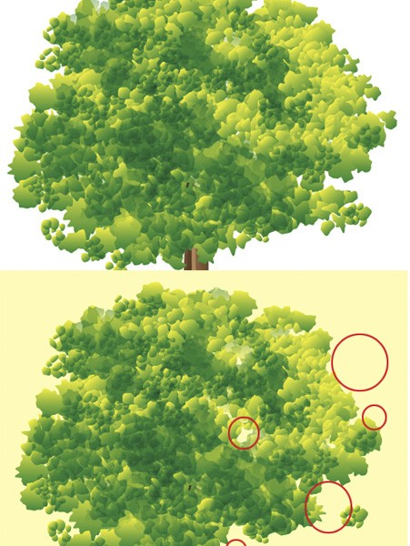 tree illustrator download
