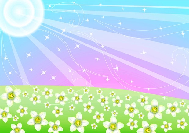 Field of white flowers on a sunny day