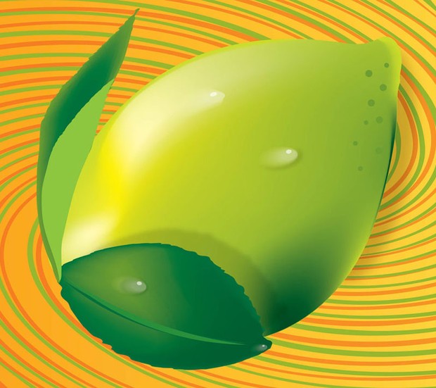 Fresh green lemon vector