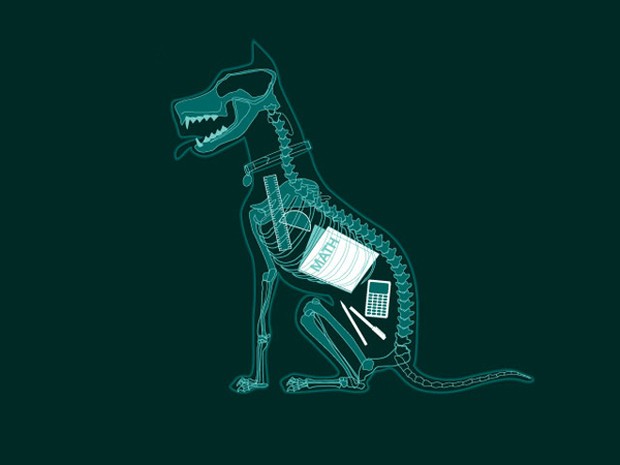 X-Ray Dog vector