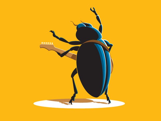 Beetle Rock vector