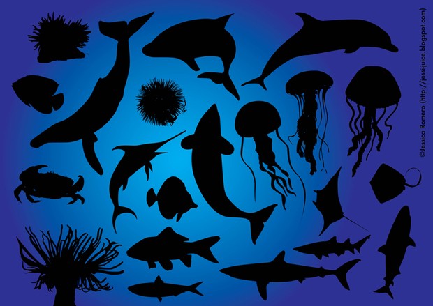Ocean Animals Vectors