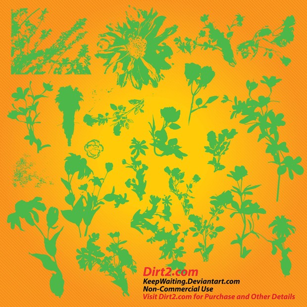 Plants and Flowers Vectors