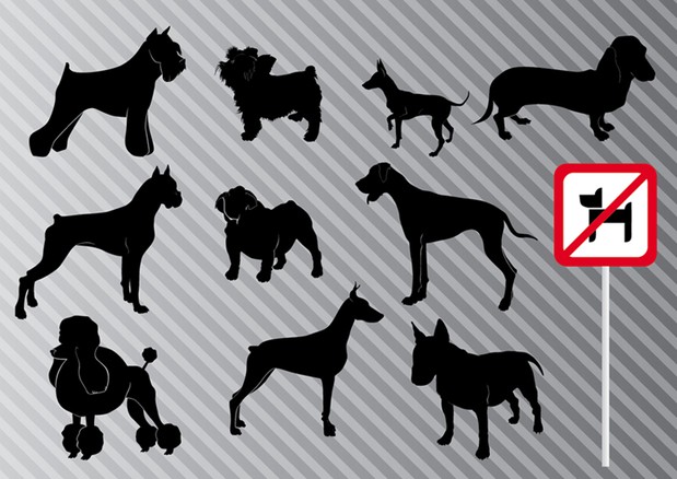 Vector Dog Graphics Pack